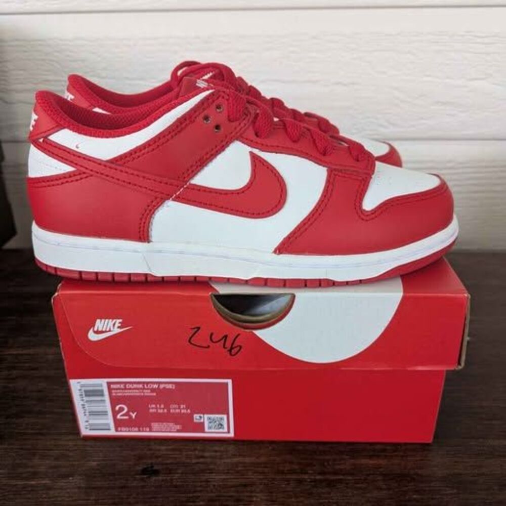 BRAND NEW Nike Dunk Low 2Y